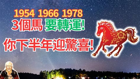 1978 馬 五行|【1978 馬 五行】1978年出生的屬馬人五行屬馬還是五行屬火？告。